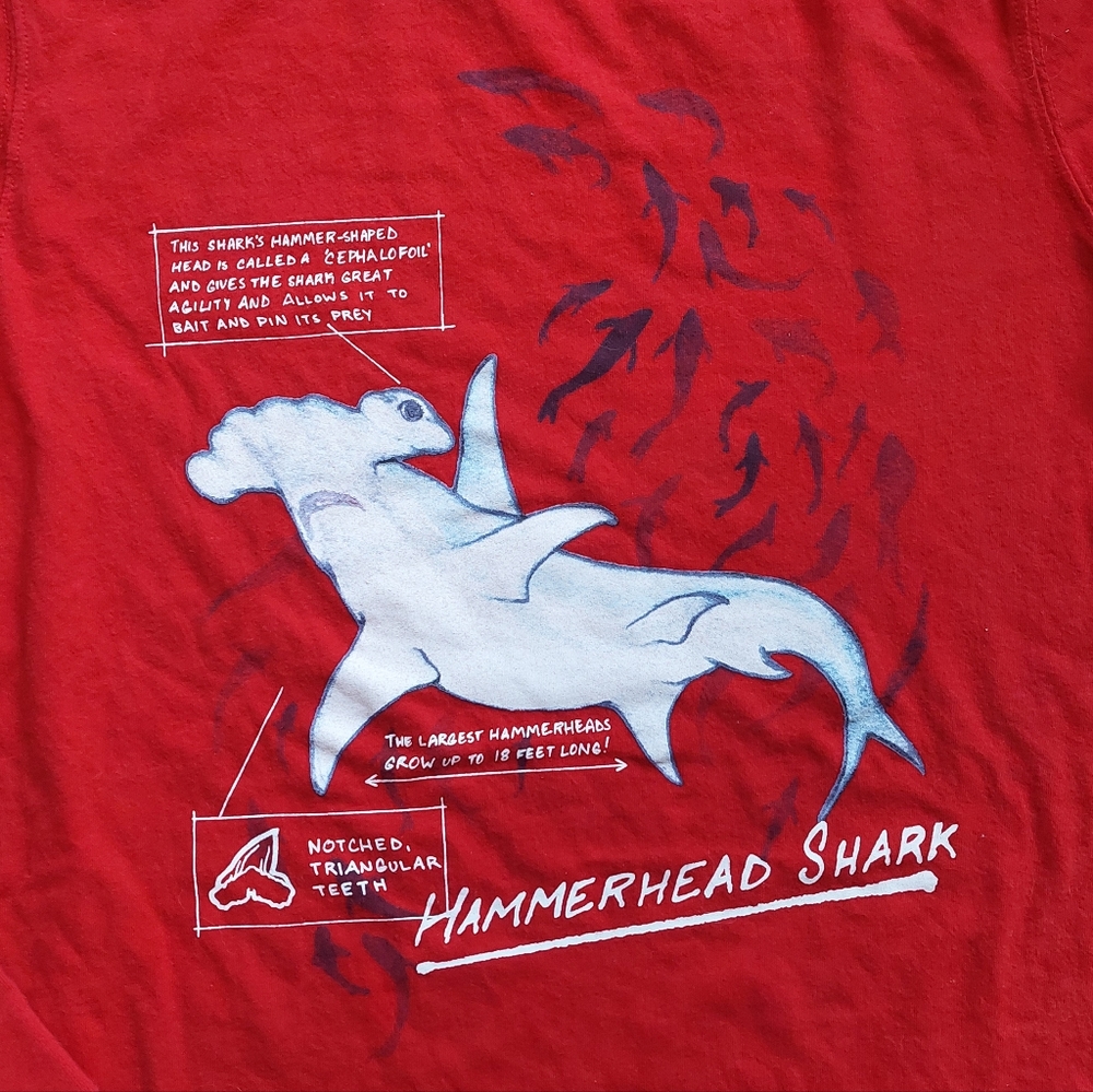 Land's End euc/ln Size 14-16 tees - Picture 6 of 15